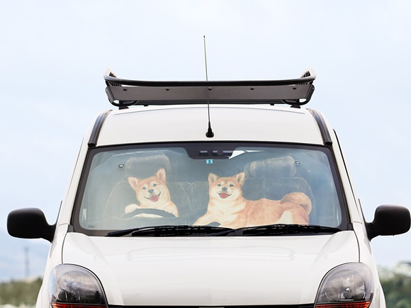 felissimo-sunshade-car-dog (1)