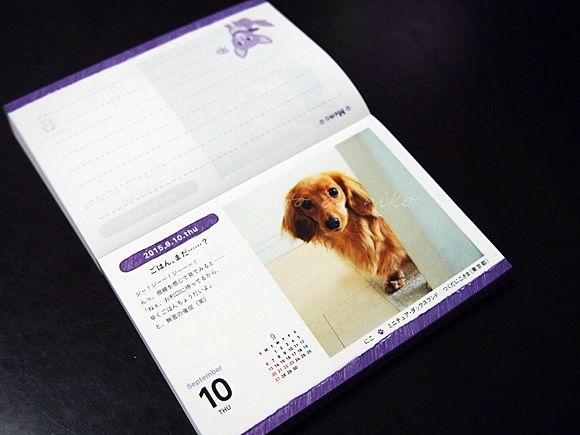 felissimo-calendar2015 (10)