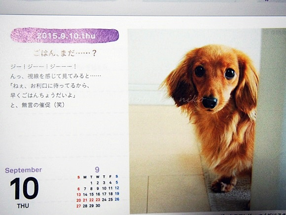 felissimo-calendar2015 (11)