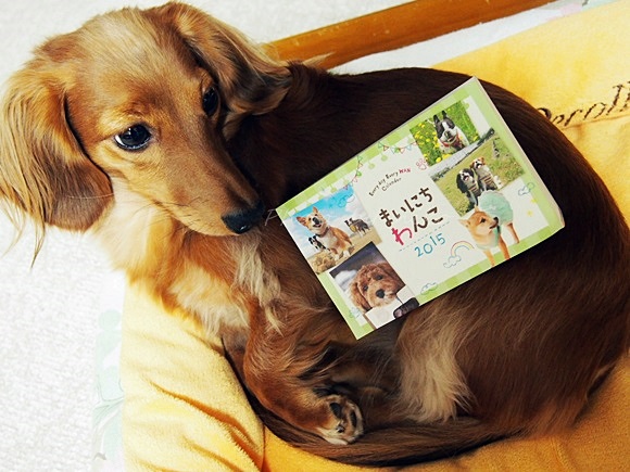 felissimo-calendar2015 (7)